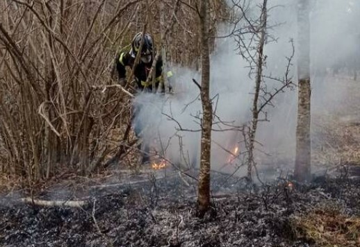 Applicazione delle misure di prevenzione rischio incendi boschivi in vista del pericolo di massima pericolosità per gli incendi boschivi